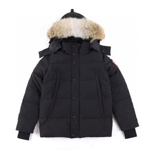 Giacca Invernale da Uomo <span class=keywords><strong>in</strong></span> <span class=keywords><strong>Piuma</strong></span> <span class=keywords><strong>d</strong></span>'<span class=keywords><strong>Oca</strong></span> Stile Classico di Alta Qualità, Calda, Antivento, con Vera Pelliccia di Coyote, Parka Canadese - Product Image 1