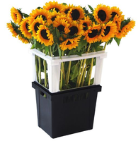 Conteneur de stockage en plastique noir durable d'affichage de fleur coupée de seau d'enchère d'usine pour le transport