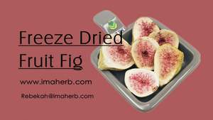 Aogubio organik dondurma-kuru incir toz kuru incir s özü tozu incir meyve özü tozu - Product Image 5