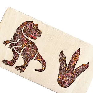 ชุดไ<span class=keywords><strong>ม</strong></span>้2ชิ้นถาดฝึกทักษะการเคลื่อนไหวแบบปรับแต่งได้ - Product Image 1