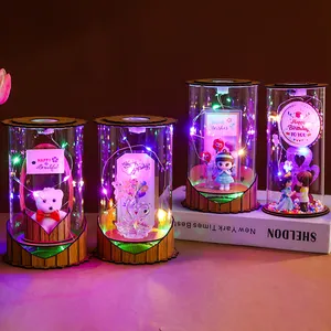 Özelleştirilmiş ürünler yaratıcı hediyeler sevgililer günü için LED ışık cam kubbe hediye