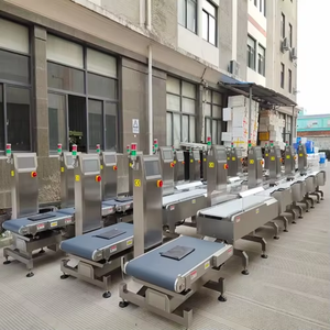 Bilancia Dinamica Industriale di Alta Precisione per il Controllo del Peso di Lattine e Alimenti su Nastro Trasportatore - Product Image 6