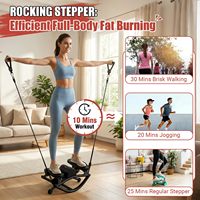 Appareil d'exercice aérobie portable, antidérapant et à faible impact pour entraînement à domicile - Rock Stepper
