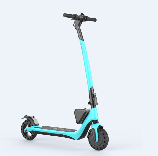 Electric Scooter With 2 Seats for Adults Ca Water Foldable Seat Double Seats Mobility Scooter Senior