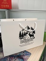 Sac shopping en papier blanc imprimé sur mesure, sac en papier pour emballage cadeau de magasin de vêtements avec poignée