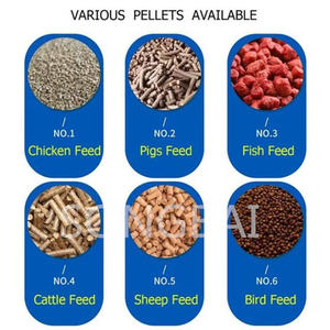 New Small Poultry Pelletizer Machine for Animal Feed Processing 800kg/h Capacity 380V Adjustable Voltage - Product Image 4