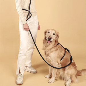 Guinzaglio per cani da esterno multicolore personalizzato a 3 vie guinzaglio a mani libere regolabile in Nylon - Product Image 5