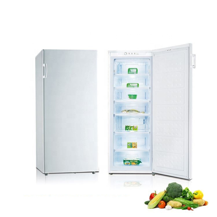 235L China Supplier Single Door Vertical