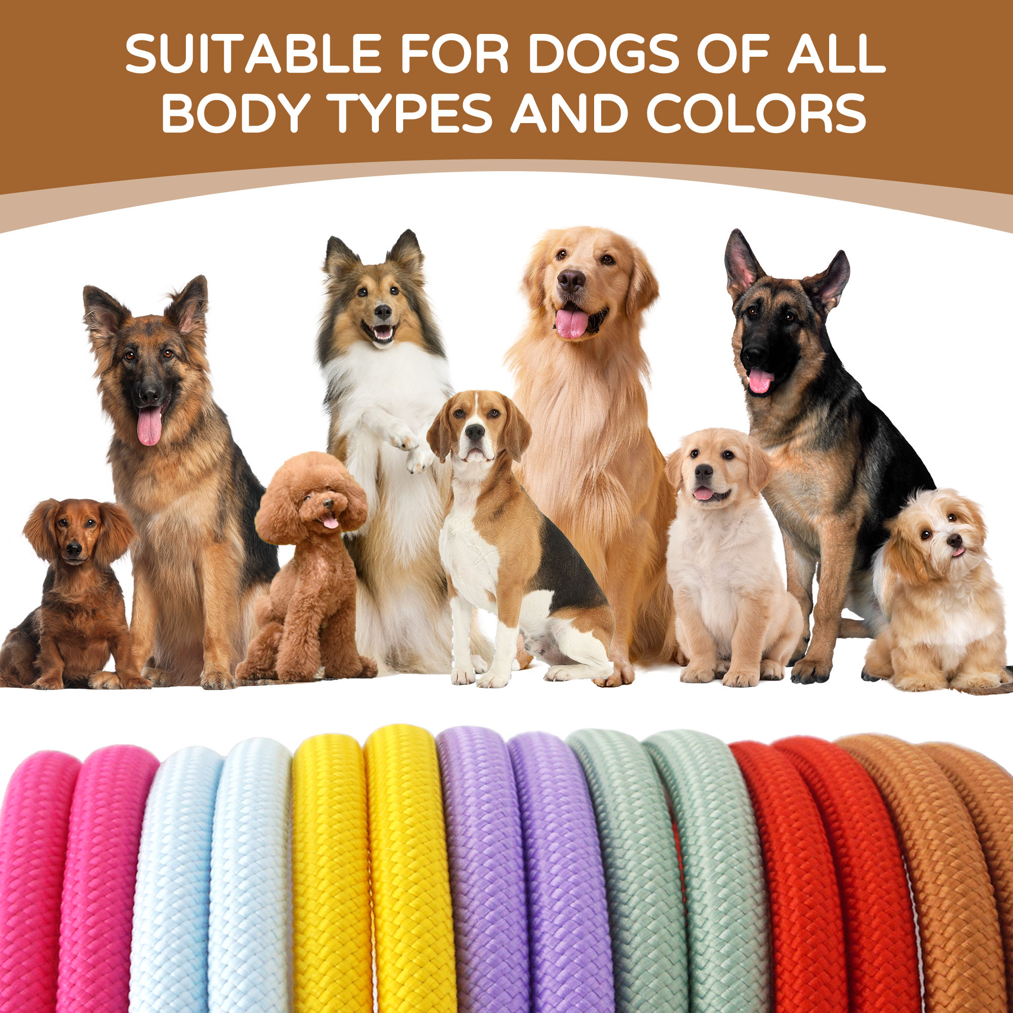 2024 Custom Pet Dog Rope Leash Long Cotton Rope Lead Running