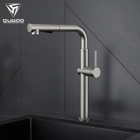Robinet de cuisine en acier inoxydable au design moderne, poignée unique, sortie d'eau extractible, robinet de purification d'eau, trou unique