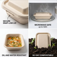 PFAS-vrij 24oz 750ml Suikerrietbagasse Biologisch afbreekbaar Magnetronbestendig Herbruikbaar Robuust Rechthoekig Afhaallocatie Lunchbox Oliebestendig