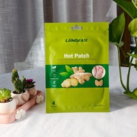 Patch au gingembre personnalisé en gros pour le bien-être quotidien et le soulagement des tensions musculaires