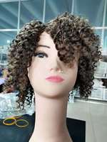 Perruque courte bouclée crépue en cheveux humains brésiliens, noir naturel mélangé gris sel et poivre, avec dentelle transparente