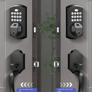 Alta Qualidade Preto New Arrival Machinery Handle Smart Door Lock