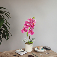 Usine directe Phalaenopsis bonsaï fleur artificielle doux naturel réel toucher décoration de la maison à vendre