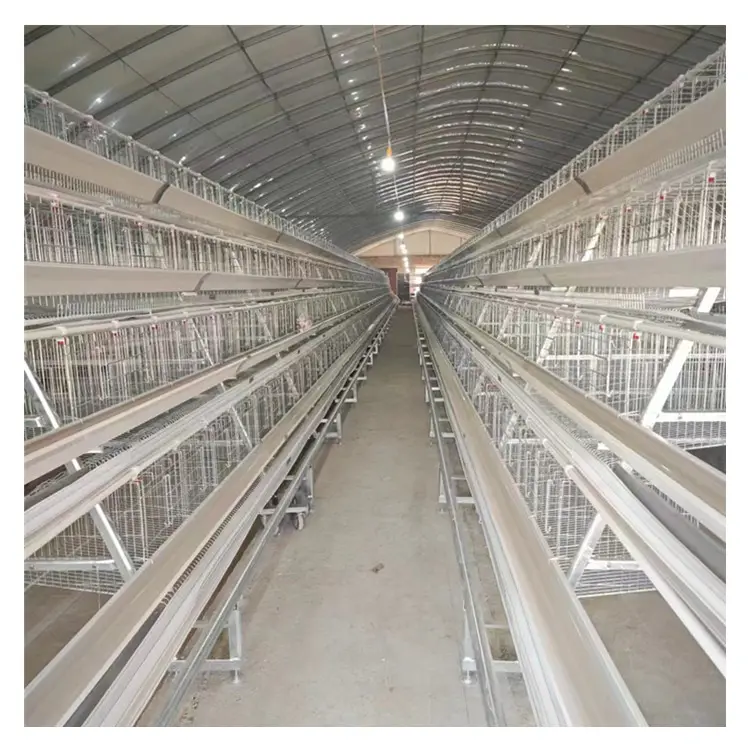 4 Tiers 160 Birds Raise More Chickens Automatic A Type Battery Egg Layer Chicken Cages