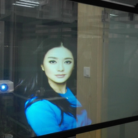 Écran holographique de film de projection arrière auto-adhésif 3D