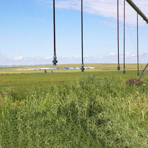 Trang Trại Tự Động Trung Tâm Pivot Hệ Thống Thủy Lợi Pivots Irrigator Với Điện Thoại Điều Khiển <span class=keywords><strong>Internet</strong></span> Chức Năng - Product Image 4