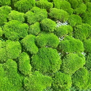 Usine en gros grand bloc de mousse de cheveux gris feuille étroite mousse de cheveux blancs pour la décoration extérieure plante artificielle pour l'ingénierie - Product Image 3
