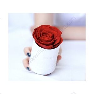 Vero naturale lunga vita duratura eterno immortale eterno conservato <span class=keywords><strong>rose</strong></span> testa fiore in scatola regalo per San Valentino regalo - Product Image 6
