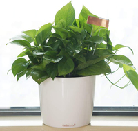 Étiquettes de plantes réutilisables en cuivre de 10 pouces, grandes étiquettes de jardin résistantes aux intempéries, marqueurs de pépinière de type T pour semis en pot