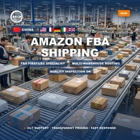 Opérateur de logistique d'expédition FBA le plus vendu, collecte de la première étape depuis Shenzhen vers la Suisse, le Maroc, le Canada, l'Arabie Saoudite