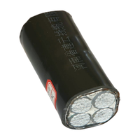 Konstruktion Grade 4-adriges Aluminium 4-adriges gepanzertes Erdkabel mit Niederspannung 16mm 25mm 35mm 50mm 70mm 95mm 120mm Größen
