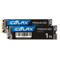 الأكثر مبيعًا M.2 NGFF SSD io GB-2 وضع ثنائي السرعة للكمبيوتر المحمول/الكمبيوتر/الصناعي CE/FCC معتمد بالجملة من OEM