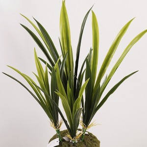 Plantes Décoratives Artificielles en Gros : Orchidées, Chlorophytum, Feuilles de Gladiolus – Décorations et Aménagements Paysagers Artificiels - Product Image 1