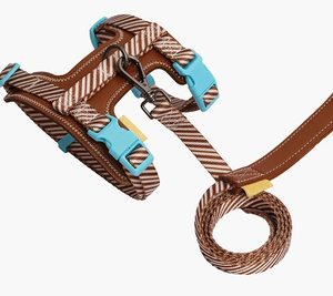 Anti-ontsnappings verstelbare sportwandelharnas en riem voor kleine honden, buitensportartikelen model - Product Image 1