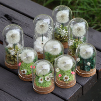 Boîtes de cadeaux de mariage en gros, cadeaux pour la fête des mères, dôme en verre à fleurs, pissenlit préservé dans du verre pour les cadeaux de la Saint-Valentin