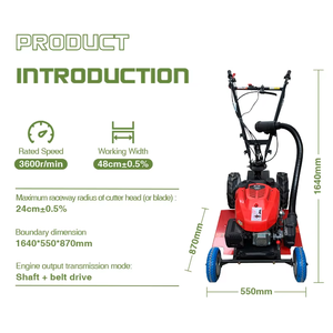 Outil de jardin, tondeuse à gazon miniature à pousser à la main, tondeuse à gazon à essence autopropulsée, débroussailleuse - Product Image 2