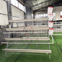 Vente directe du fabricant, cage à poules de type A, équipement pour élevage avicole, petite cage à poules, conception de cage à poules pondeuses