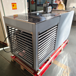 Máquina Comercial para Hacer Bloques de <span class=keywords><strong>Hielo</strong></span> con Producción Diaria Ajustable de 500 kg a 10 t y Compresor de Ahorro Energético para Nigeria - Product Image 5