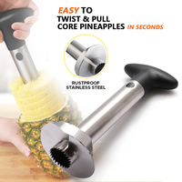Épluche-ananas en acier inoxydable Gadgets de cuisine Outils de fruits Trancheuse manuelle de coupe d'ananas