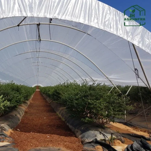 Invernadero de Polietileno en Forma de Túnel, Resistente y de Alta Resistencia, con Cubierta Resistente a los Rayos UV para Vegetales, Frutas y Flores - Product Image 5