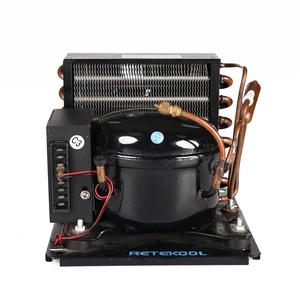 R600a <b>Portable</b> Refrigerator <b>Fridge</b> Condensing Cooling Unit - Product Image 3