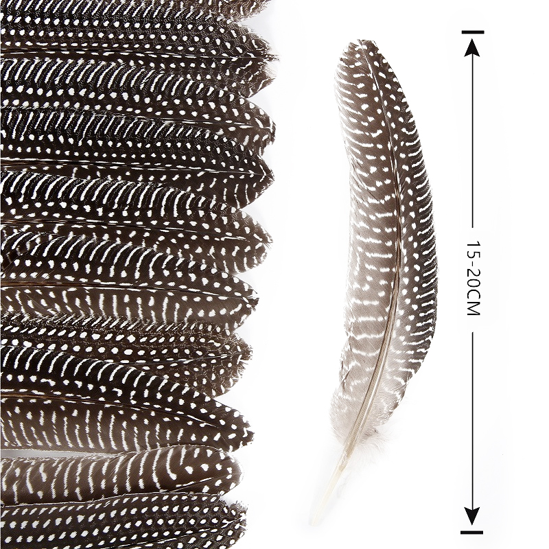 Wholesale Cheap Carnival Hat Decoration HandiCrafts 15-20cm Cheap Natural Guinea Fowl Feather/ Wing Quills Feathers