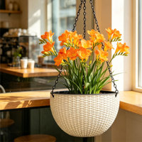 Grand panier suspendu traditionnel à double pot pour bonsaï, pots de fleurs auto-arrosants avec trou de drainage, pour intérieur et extérieur, en plastique, pour la maison et le jardin, 2,56 L