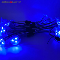 Lampes à points LED WS2811, adressables, IP65, corps en PVC de 26 mm, DC12V, pour décorations de parcs d'attractions