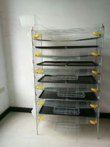 Equipamento para Avicultura: Gaiola Comercial para Codornas Tipo H de 6 Camadas para Venda - Modelo HJ-QC400A - Product Image 3