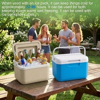 6L Mini Geïsoleerde Koelbox Draagbare Harde Koelbox Met Kunststof Handvat Aangepaste Logo voor Eten Dranken Picknick Kamperen Buitenactiviteiten
