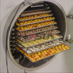 Machine de lyophilisation alimentaire économique, équipement de séchage sous vide adapté au fromage, aux bouchées de yaourt et aux autres produits laitiers - Product Image 5