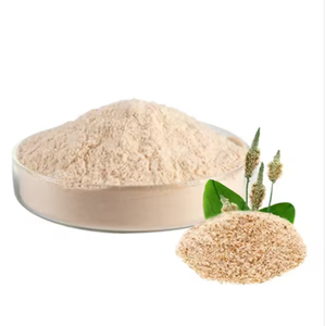 טבעוני טרום אימון תוספת אבקת עבור אורח חיים פעיל מחדש אנרגיה והתאוששות שרירים עבור תזונה ספורט - Product Image 6