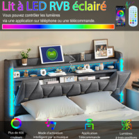 Cadre de lit en tissu gris avec éclairage LED RGB, télécommande via application, chargement USB Type C, 4 tiroirs et rangement dans la tête de lit, taille Queen