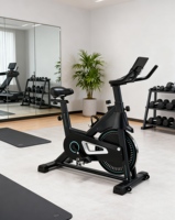 Vélo de spinning vertical en acier avec volant d'inertie de 6 kg, système de résistance réglable en feutre de laine, écran LCD, silencieux, pour usage domestique, vente en gros fabricant