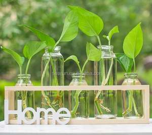 Set di Vasi in Legno e Vetro per Decorazione da Scrivania, <span class=keywords><strong>Vaso</strong></span> per Epipremnum Aureum Senza Accessori per Decorazione Domestica - Product Image 6