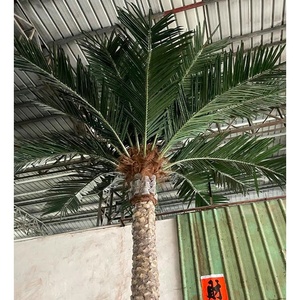 Cây nhân tạo trong nhà thương mại giả cây cọ lớn sợi thủy tinh thân cây ngày cây cọ nhân tạo - Product Image 2