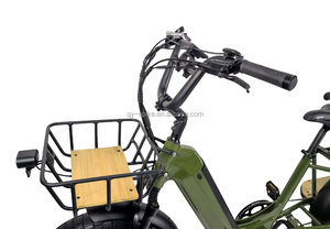 Bicicleta Eléctrica de 20 Pulgadas con Cuadro Bajo, Motor Trasero de 48V 500 750 1000W, Neumáticos Anchos y Asientos para Niños - Product Image 5