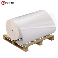 Etiquetas Autoadhesivas de Papel Sintético Termoadhesivo, Lavables, Ecológicas, en Rollo Jumbo para Sellado de Bolsas